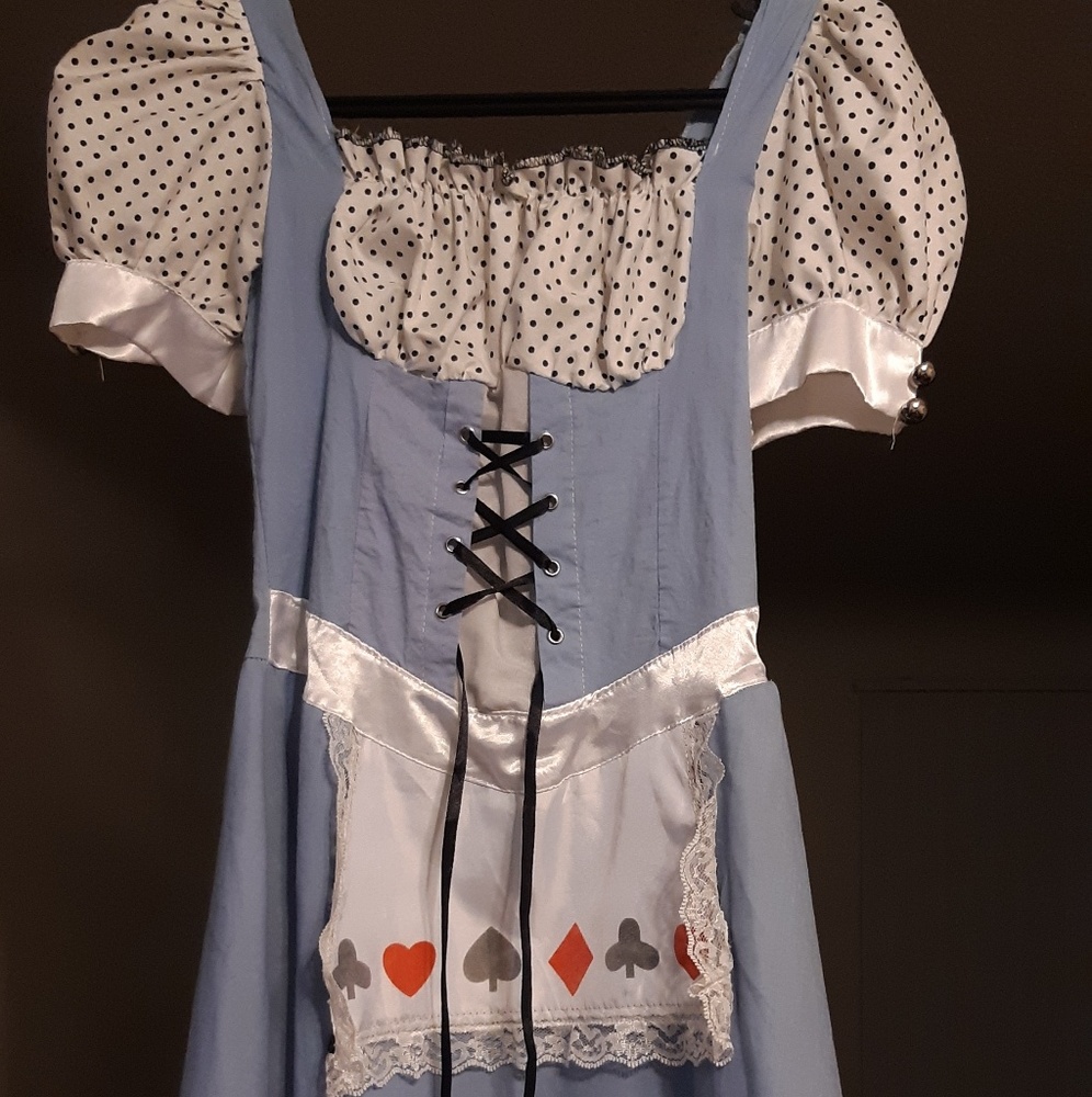 Alice in Wonderland Costume